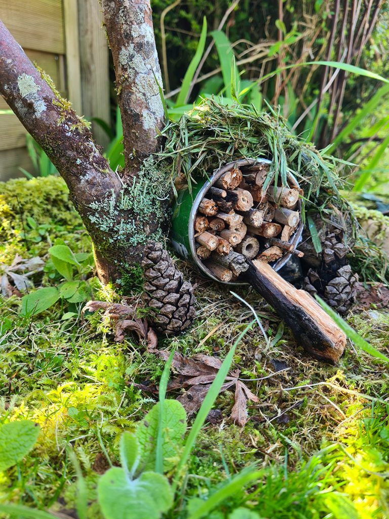 HOW TO MAKE YOUR MINI BUG HOTEL