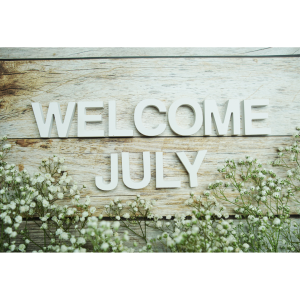 Helping Wildlife in the Garden